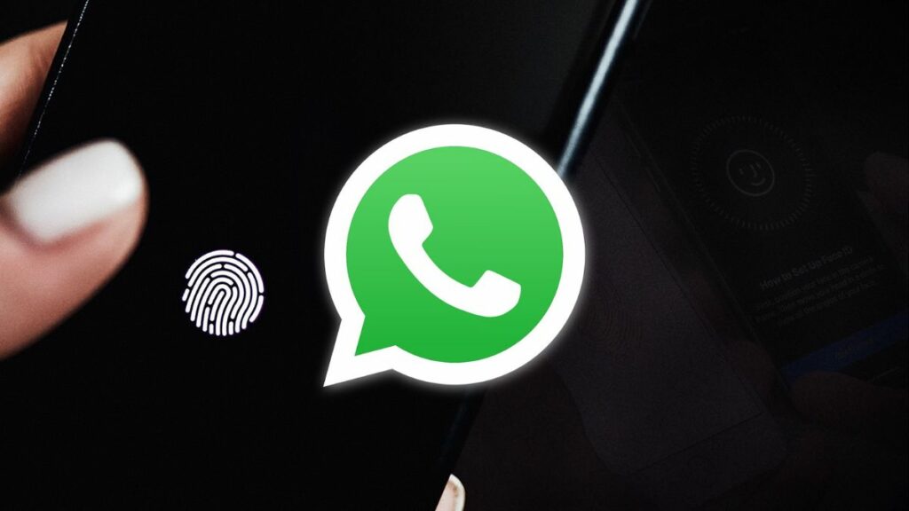 WhatsApp Viação Teresópolis, mulher mexendo no celular