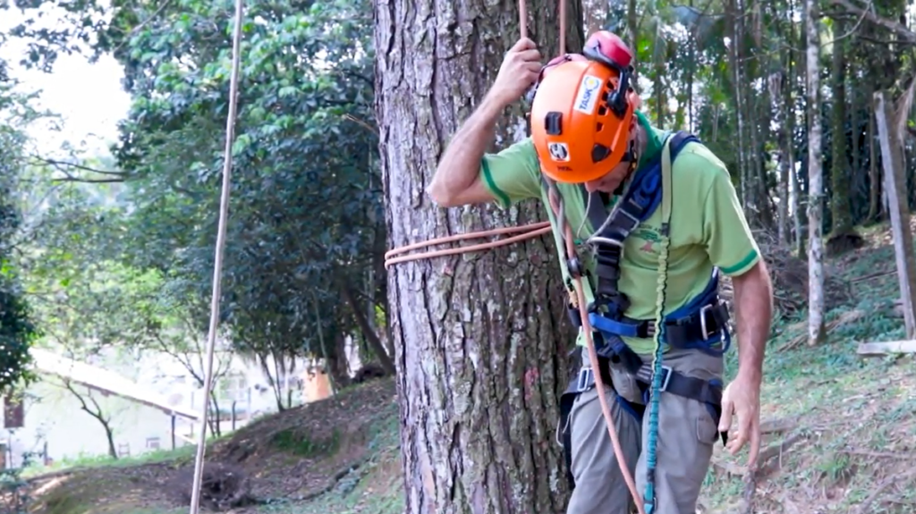 Homem com materiais de segurança paraEscalada em Árvores no Amazonas