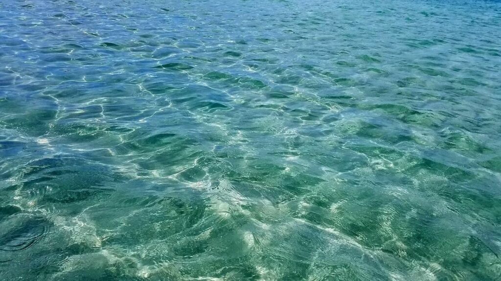 Morar em Alagoas: o estado com as praias mais lindas de água cristalina.