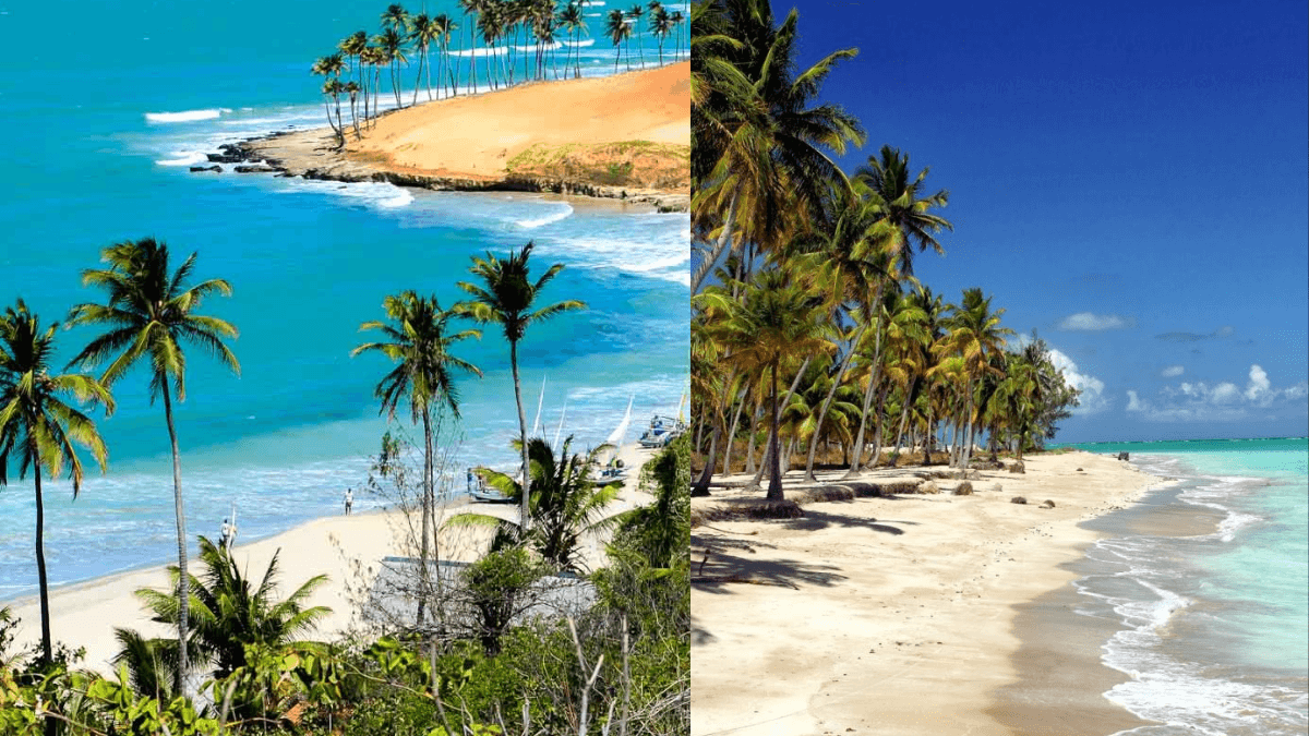 Praias mais Bonitas do Brasil 2023: Conheça as 8 Melhores Opções!